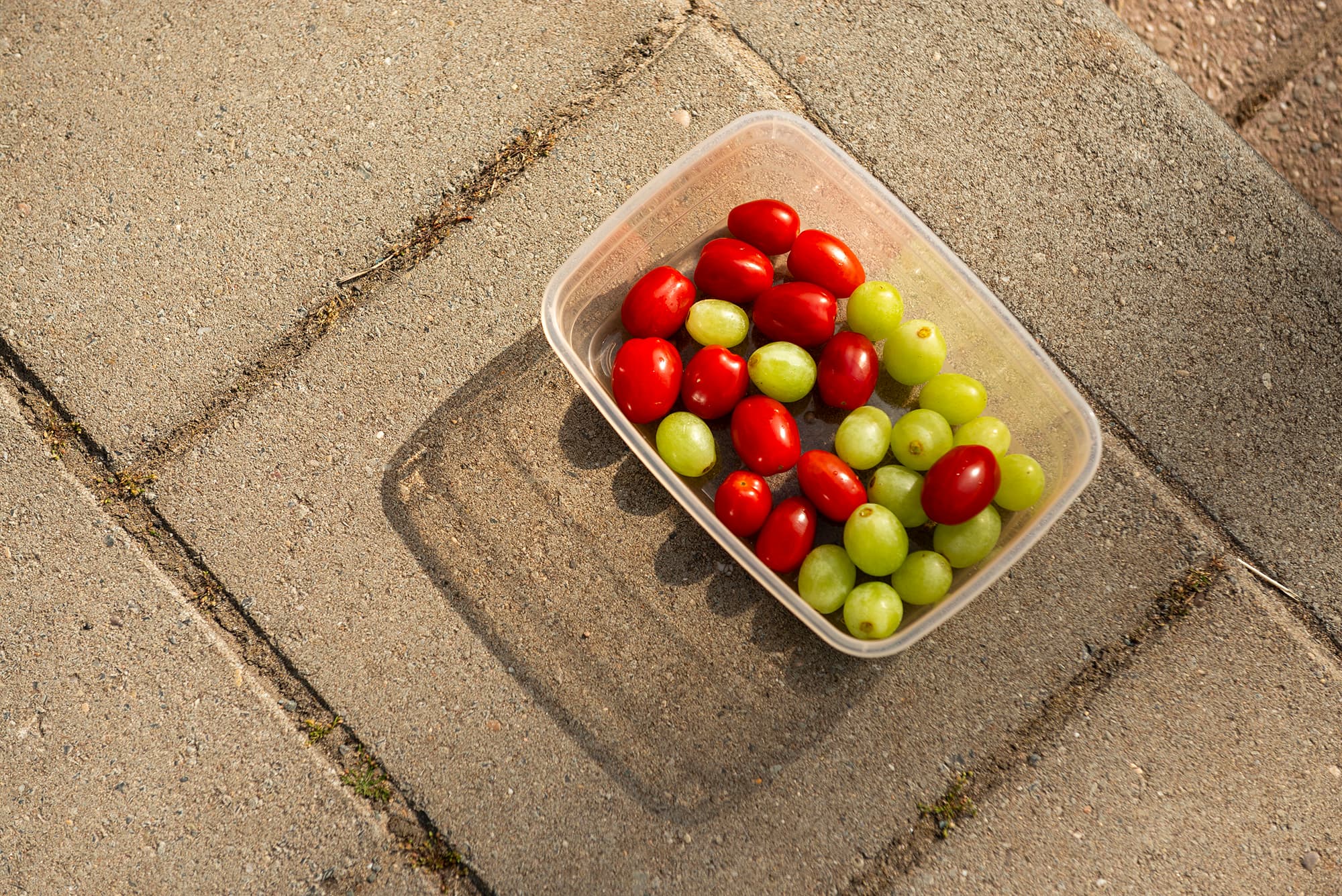 Avond4daagse Weesp 2025