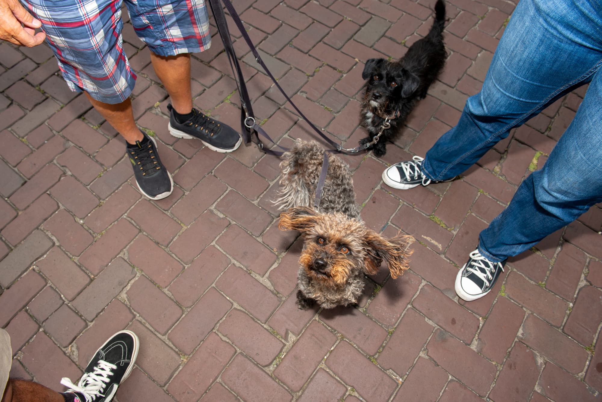 Verenigingenmarkt 2024