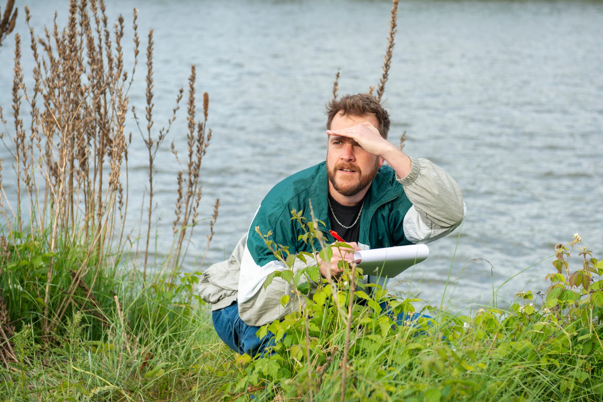 Avond4daagse Weesp 2025